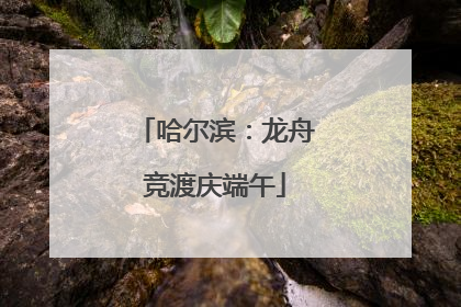 哈尔滨：龙舟竞渡庆端午