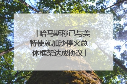 哈马斯称已与美特使就加沙停火总体框架达成协议
