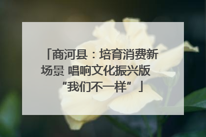 商河县：培育消费新场景 唱响文化振兴版“我们不一样”
