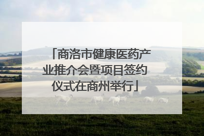 商洛市健康医药产业推介会暨项目签约仪式在商州举行