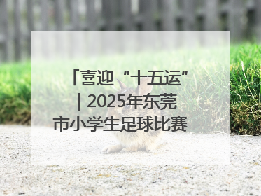 喜迎“十五运”｜2025年东莞市小学生足球比赛圆满收官