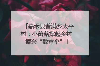 嘉禾县普满乡太平村：小菌菇撑起乡村振兴“致富伞”