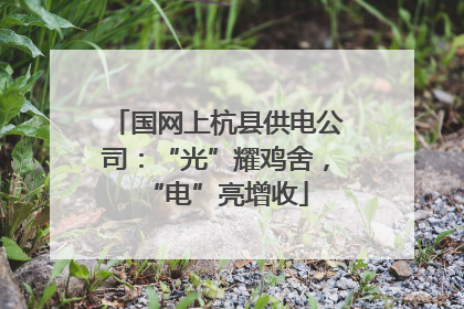 国网上杭县供电公司：“光”耀鸡舍，“电”亮增收