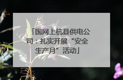 国网上杭县供电公司：扎实开展“安全生产月”活动