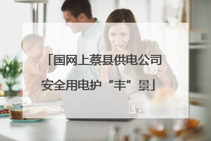 国网上蔡县供电公司安全用电护“丰”景
