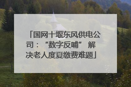 国网十堰东风供电公司：“数字反哺” 解决老人度夏缴费难题