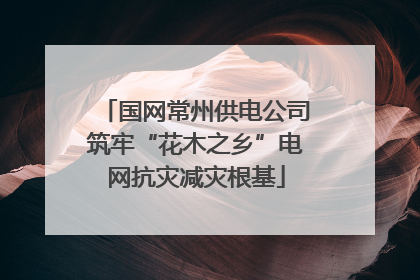 国网常州供电公司筑牢“花木之乡”电网抗灾减灾根基