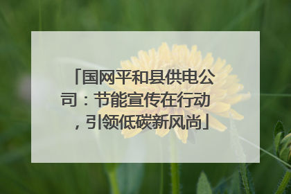 国网平和县供电公司：节能宣传在行动，引领低碳新风尚