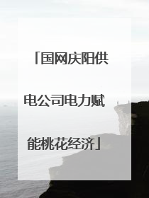 国网庆阳供电公司电力赋能桃花经济