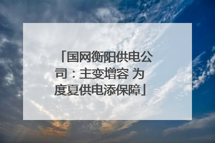 国网衡阳供电公司：主变增容 为度夏供电添保障