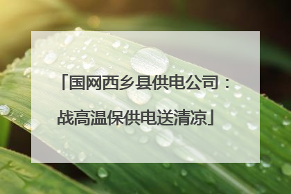 国网西乡县供电公司：战高温保供电送清凉