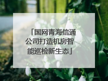 国网青海信通公司打造机房智能巡检新生态