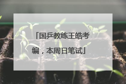 国乒教练王皓考编，本周日笔试