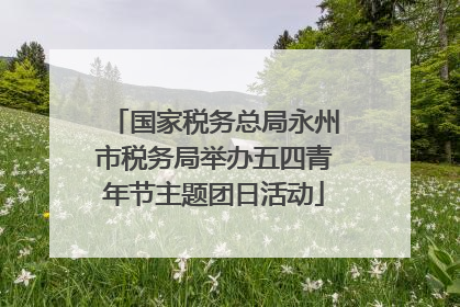 国家税务总局永州市税务局举办五四青年节主题团日活动