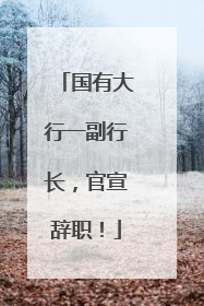 国有大行一副行长，官宣辞职！