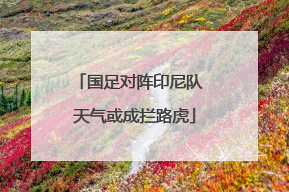 国足对阵印尼队 天气或成拦路虎