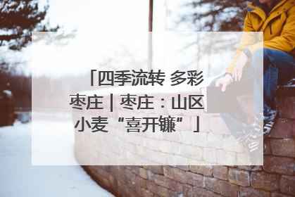 四季流转 多彩枣庄｜枣庄：山区小麦“喜开镰”