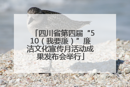 四川省第四届“510（我要廉）”廉洁文化宣传月活动成果发布会举行
