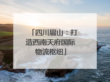 四川眉山：打造西南天府国际物流枢纽