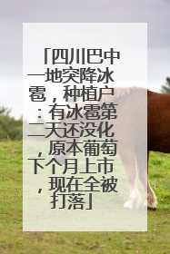 四川巴中一地突降冰雹，种植户：有冰雹第二天还没化，原本葡萄下个月上市，现在全被打落