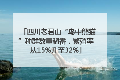 四川老君山“鸟中熊猫”种群数量翻番，繁殖率从15%升至32%