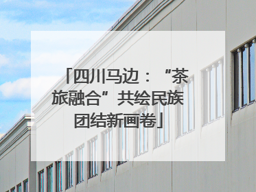 四川马边：“茶旅融合”共绘民族团结新画卷