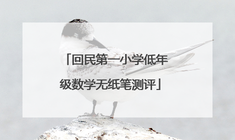 回民第一小学低年级数学无纸笔测评