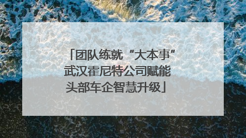团队练就“大本事” 武汉霍尼特公司赋能头部车企智慧升级