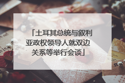土耳其总统与叙利亚政权领导人就双边关系等举行会谈