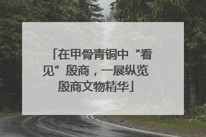 在甲骨青铜中“看见”殷商，一展纵览殷商文物精华