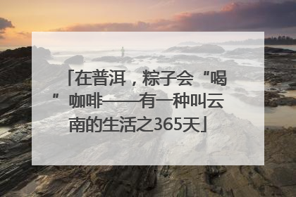 在普洱，粽子会“喝”咖啡——有一种叫云南的生活之365天