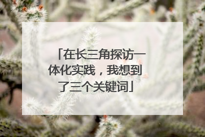 在长三角探访一体化实践，我想到了三个关键词