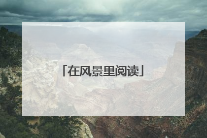在风景里阅读