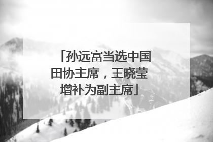 孙远富当选中国田协主席，王晓莹增补为副主席