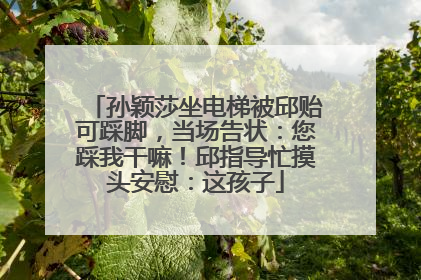孙颖莎坐电梯被邱贻可踩脚，当场告状：您踩我干嘛！邱指导忙摸头安慰：这孩子