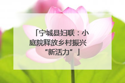 宁城县妇联：小庭院释放乡村振兴“新活力”