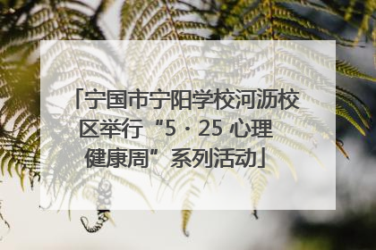 宁国市宁阳学校河沥校区举行“5・25 心理健康周”系列活动