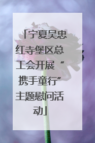 宁夏吴忠红寺堡区总工会开展“携手童行”主题慰问活动