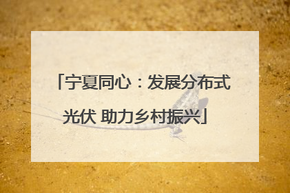 宁夏同心：发展分布式光伏 助力乡村振兴