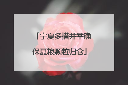 宁夏多措并举确保夏粮颗粒归仓