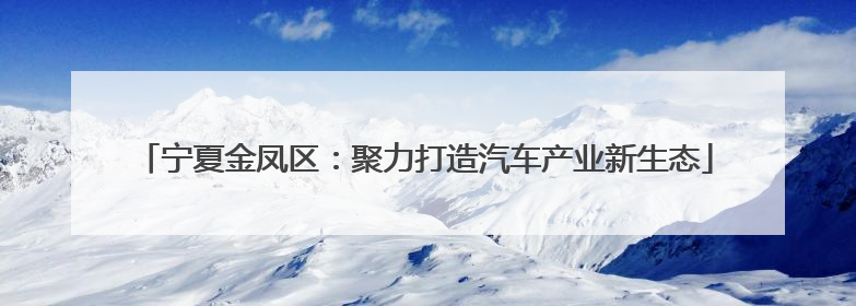 宁夏金凤区：聚力打造汽车产业新生态