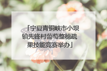 宁夏青铜峡市小坝镇先锋村葡萄整穗疏果技能竞赛举办
