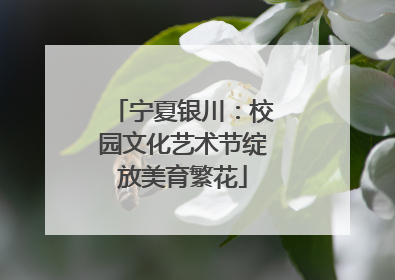 宁夏银川：校园文化艺术节绽放美育繁花