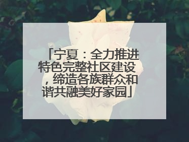 宁夏：全力推进特色完整社区建设，缔造各族群众和谐共融美好家园