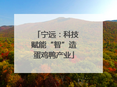 宁远：科技赋能“智”造蛋鸡鸭产业
