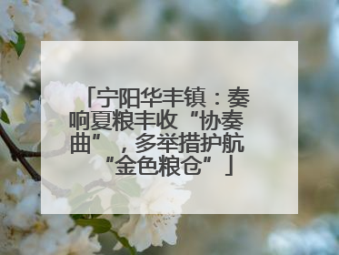 宁阳华丰镇：奏响夏粮丰收“协奏曲”，多举措护航“金色粮仓”