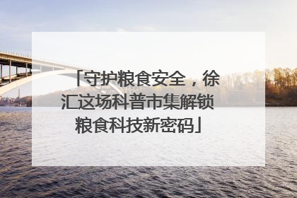 守护粮食安全，徐汇这场科普市集解锁粮食科技新密码