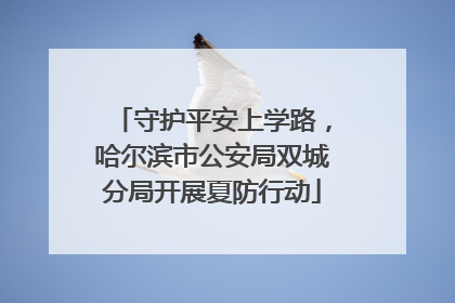 守护平安上学路，哈尔滨市公安局双城分局开展夏防行动