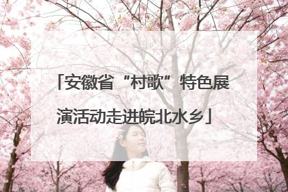 安徽省“村歌”特色展演活动走进皖北水乡