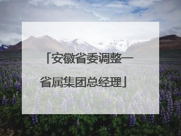 安徽省委调整一省属集团总经理